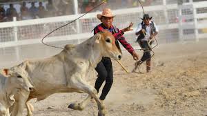 rodeo_guyana